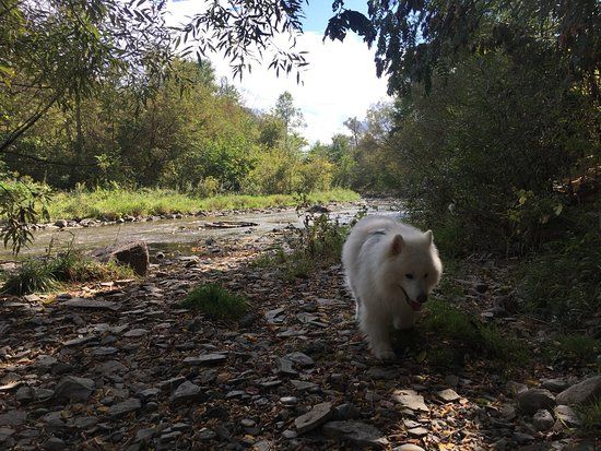 Etobicoke Valley Park